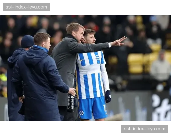 “黑马”褪色:分析本赛季布莱顿成绩大幅下滑的多重原因 “黑马”褪色:分析本赛季布莱顿成绩大幅下滑的多重原因