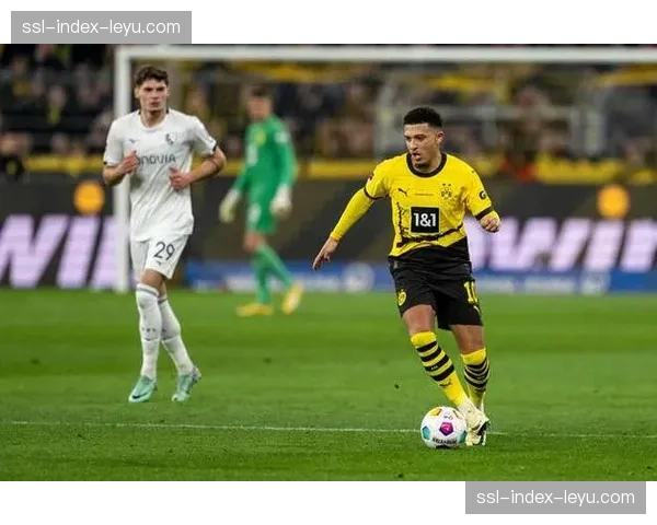 通讯：一座小城的足球梦想，海登海姆的德甲二年级生存记